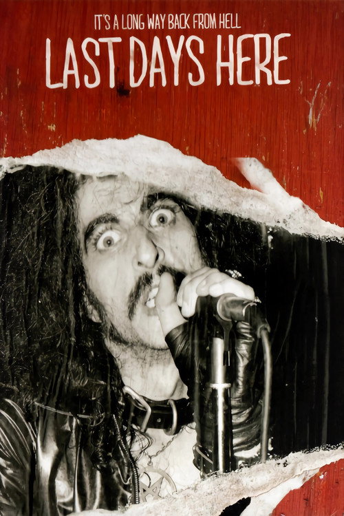 Last Days Here (2011) movie poster