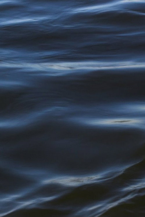 The Flood (2021) movie poster