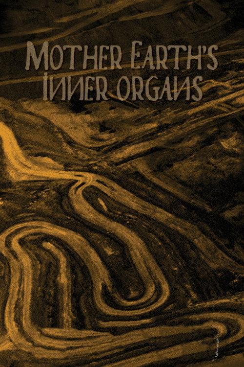 Mother Earth’s Inner Organs (2022) movie poster