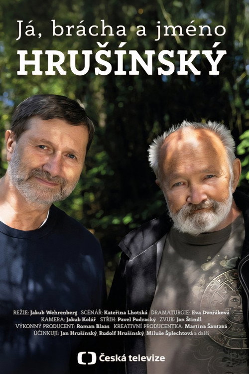 Me, brother and the name Hrušínský (2025) movie poster