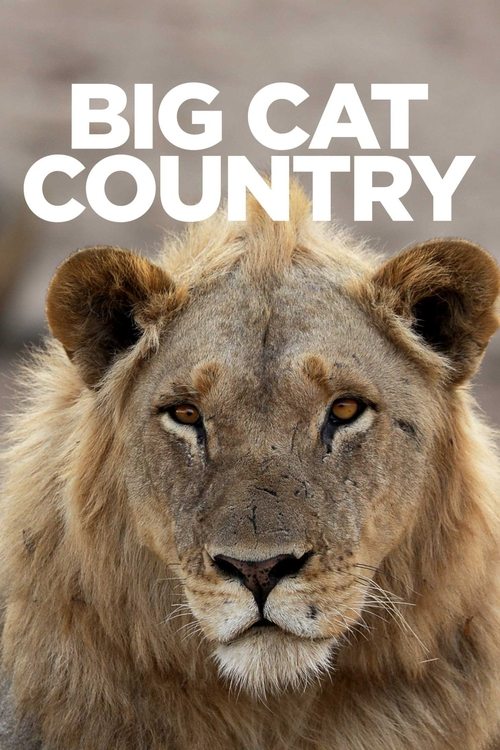 Big Cat Country (2019) TV show poster