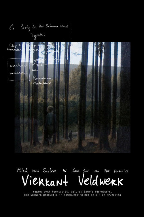 Square Fieldwork (2022) movie poster
