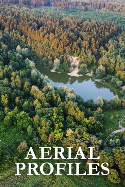 Aerial Profiles (2020) TV show poster
