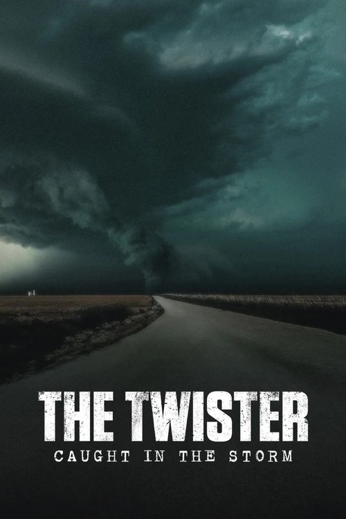 The Twister: Caught in the Storm (2025) movie poster