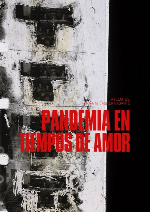 Pandemic in Times of Love (2023) movie poster