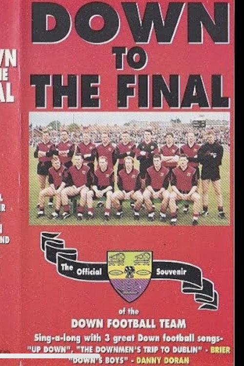 Down To The Final (1994) movie poster