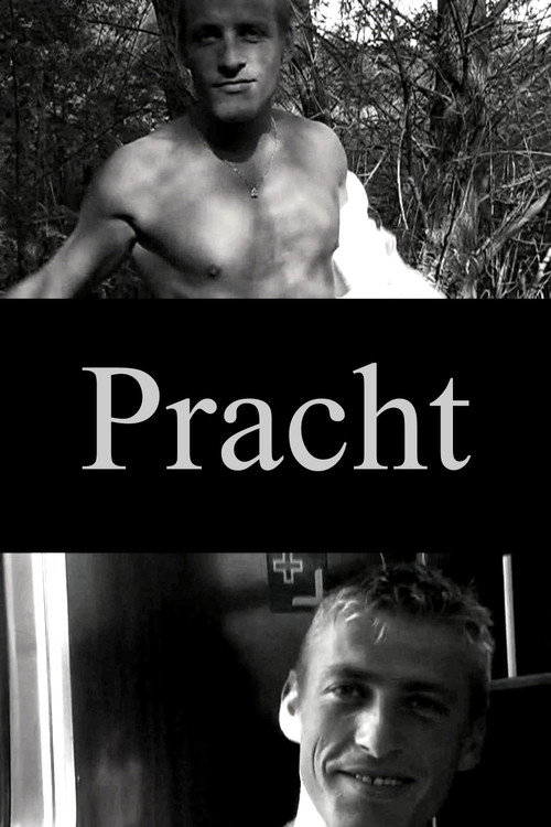 Pracht (2005) movie poster