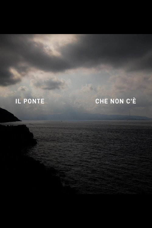 Il Ponte che non c'è (2024) movie poster
