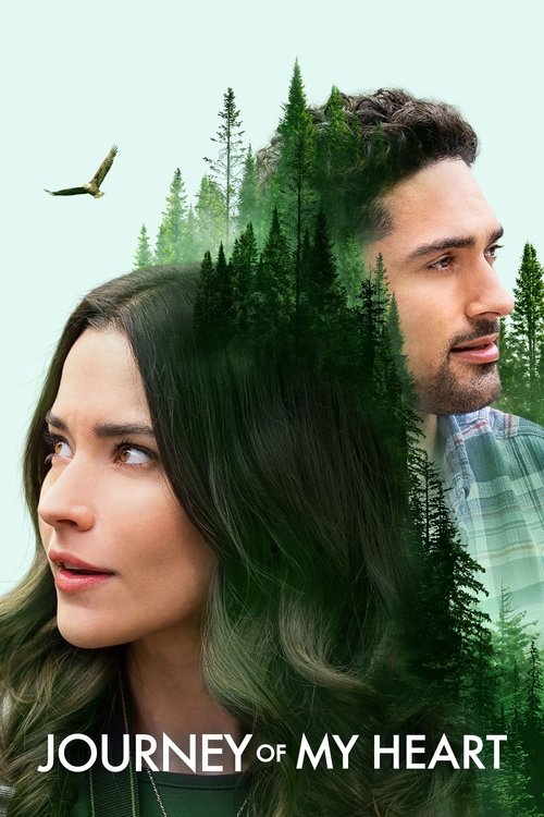 Journey of My Heart (2021) movie poster
