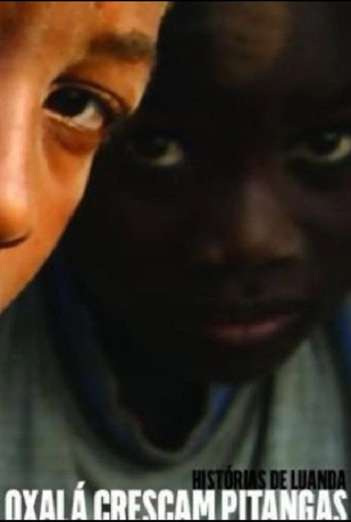 Tales of Luanda: Hope the Pitanga Cherries Grow (2007) movie poster