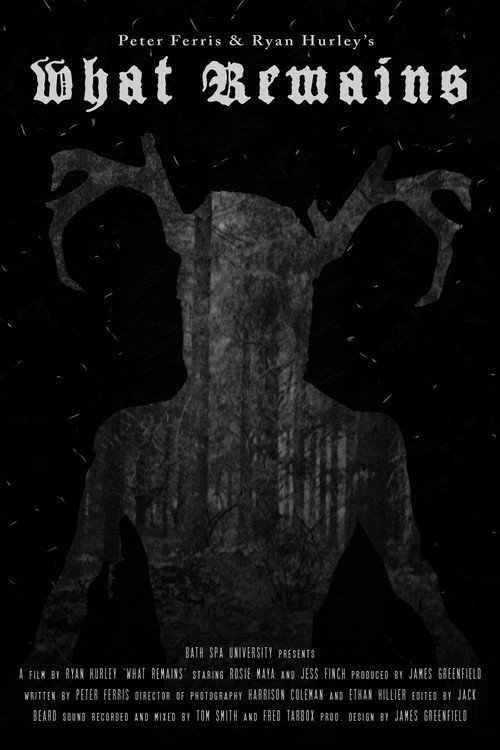 What Remains movie poster