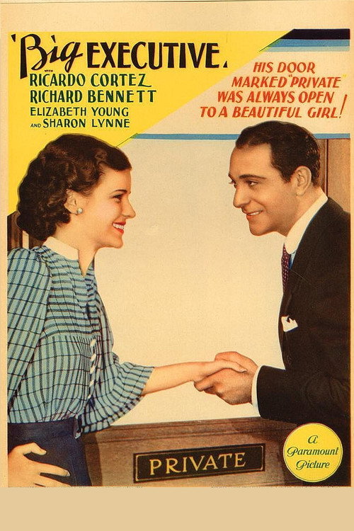 Big Executive (1933) movie poster