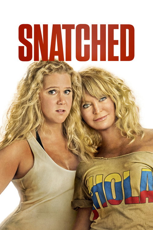 Snatched (2017) movie poster