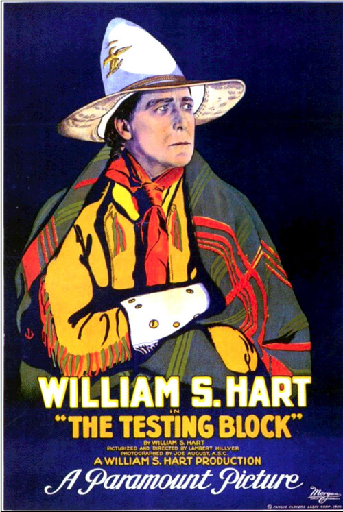 The Testing Block (1920) movie poster