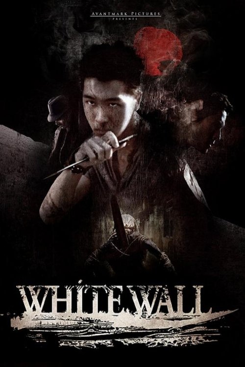 White Wall (2010) movie poster