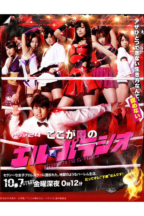 Welcome to the El-Palacio (2011) TV show poster