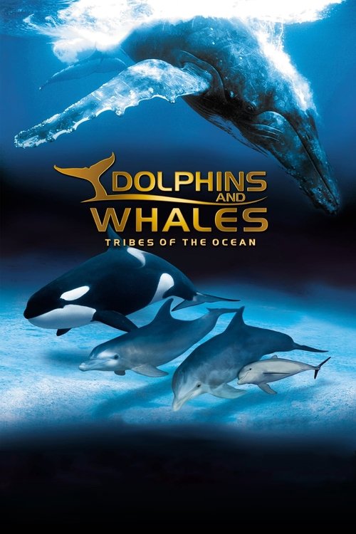 IMAX Dolphins and Whales: Tribes of the Ocean (2008) movie poster