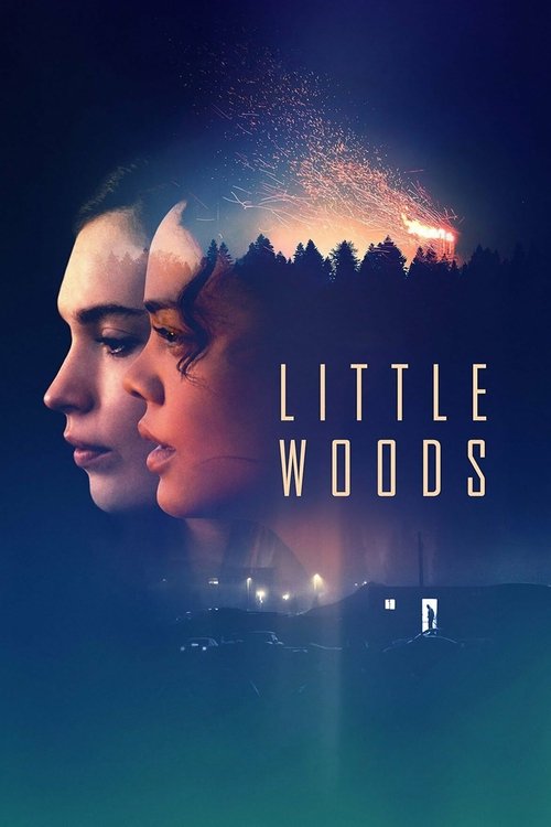 Little Woods (2019) movie poster