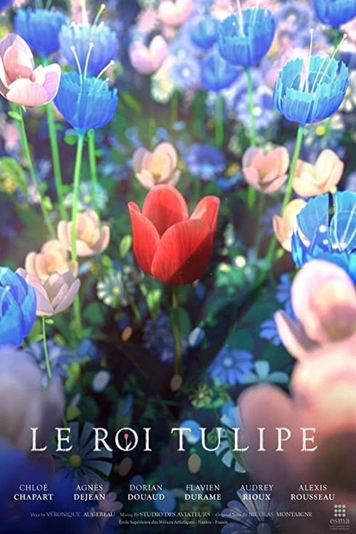 The Tulip King (2020) movie poster