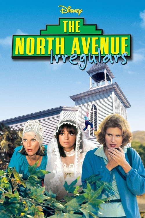 The North Avenue Irregulars (1979) movie poster