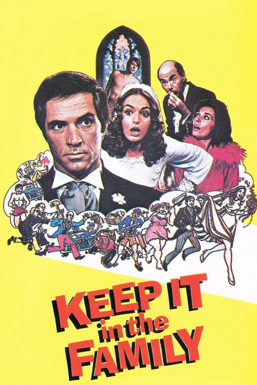 Keep It in the Family (1973) movie poster