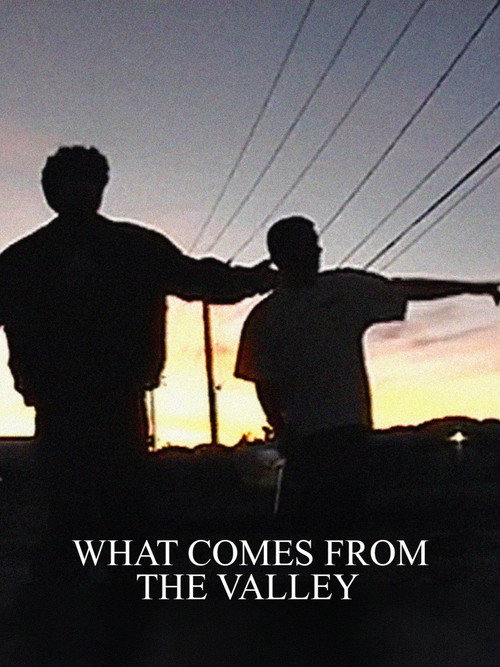 What Comes from the Valley (2026) movie poster