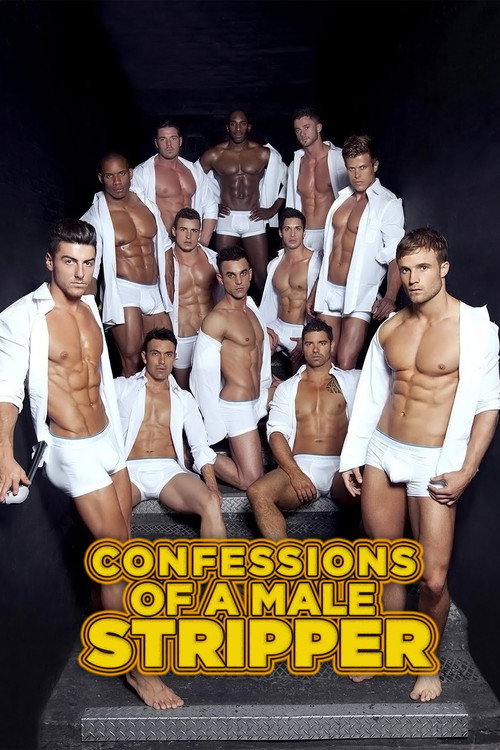 Confessions of a Male Stripper (2013) movie poster