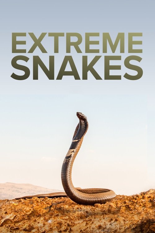 Extreme Snakes (2023) TV show poster