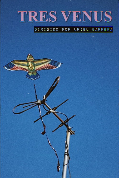 Three Venus (2021) movie poster