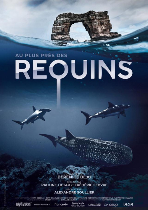 For the Love of Sharks (2022) movie poster