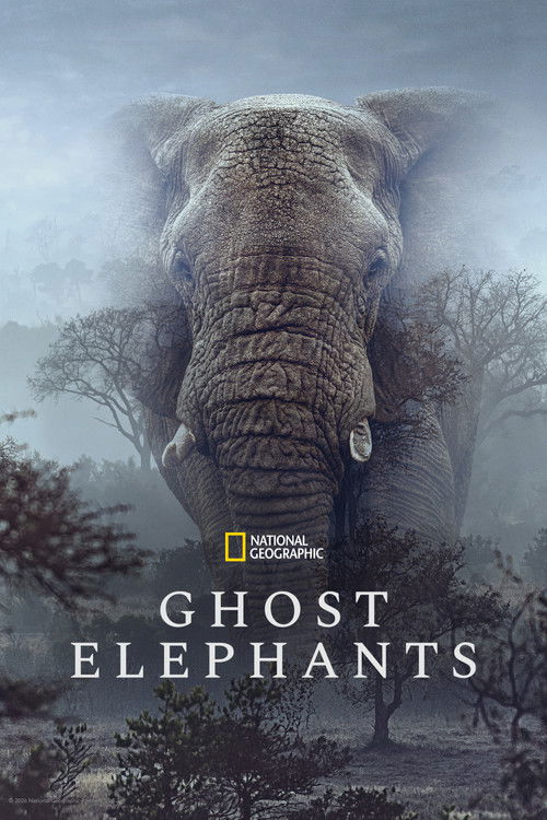 Ghost Elephants (2026) movie poster