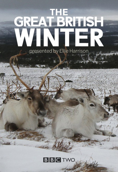 The Great British Winter (2013) TV show poster