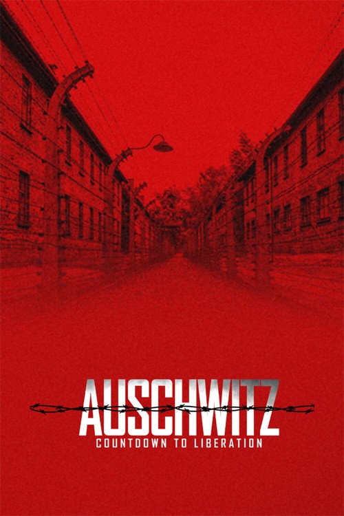 Auschwitz: Countdown To Liberation (2025) movie poster