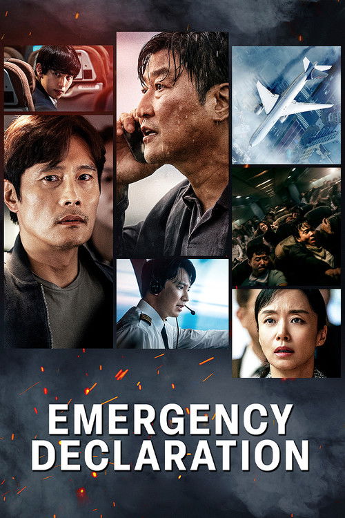 Emergency Declaration (2022) movie poster