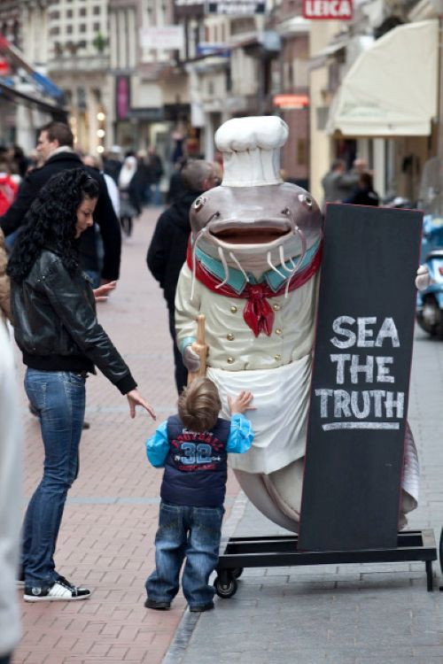 Sea the Truth (2010) movie poster