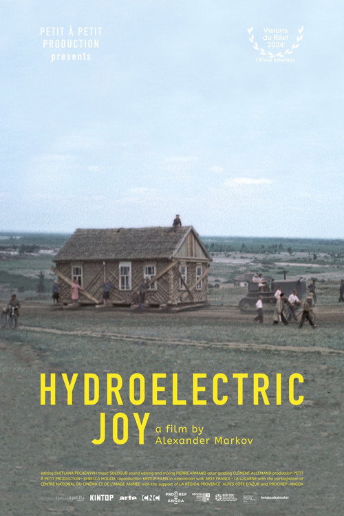 Hydroelectric Joy (2024) movie poster