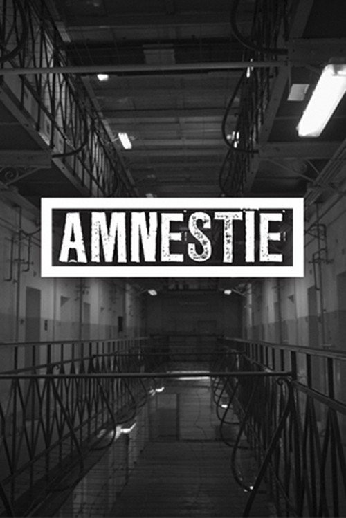 Amnesty (2019) movie poster