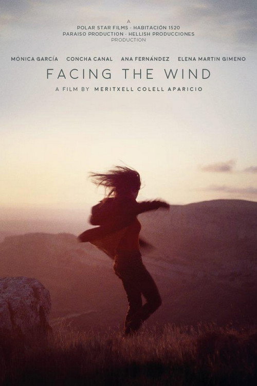 Facing the Wind (2018) movie poster