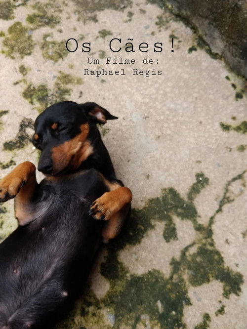 Os Cães! (2022) movie poster
