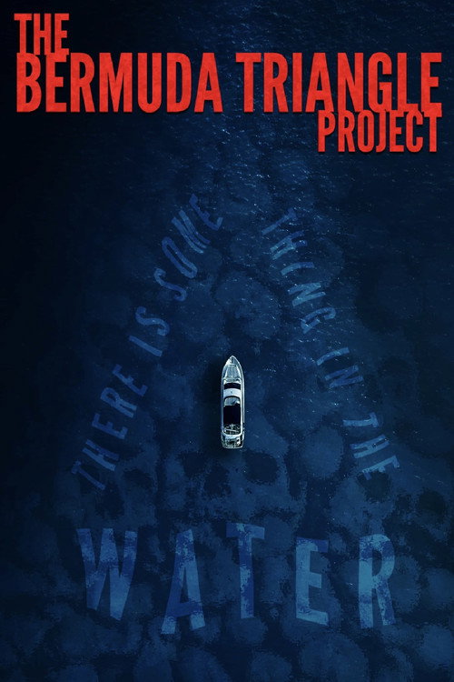 The Bermuda Triangle Project (2023) movie poster