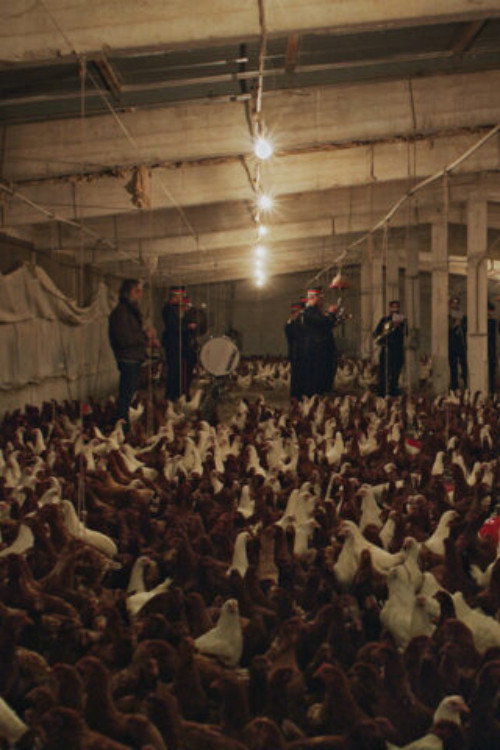 If I Ever Get A Monument Chickens Will Do It For Me (Requiem#3) (2021) movie poster
