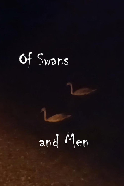 Von Schwänen und Menschen (2025) movie poster