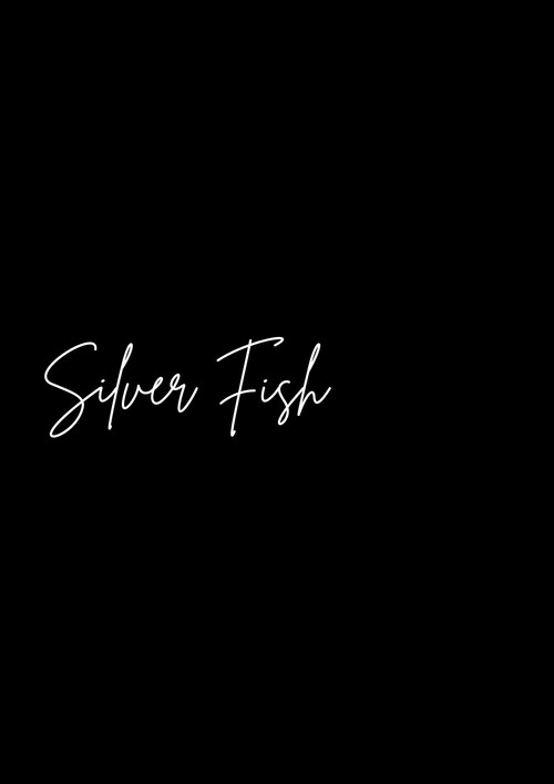 Silver Fish (2024) movie poster