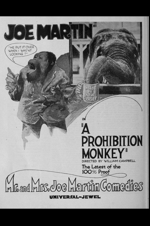 A Prohibition Monkey (1920) movie poster