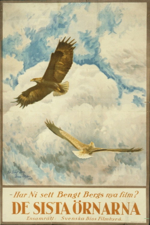 The Tale of the Last Eagles (1923) movie poster