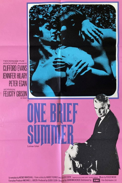One Brief Summer (1971) movie poster