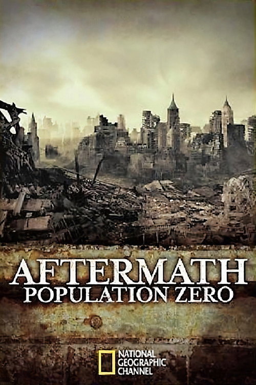 Aftermath: Population Zero (2008) movie poster