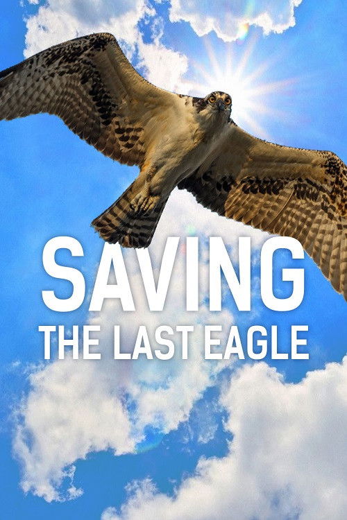 Saving The Last Eagle movie poster