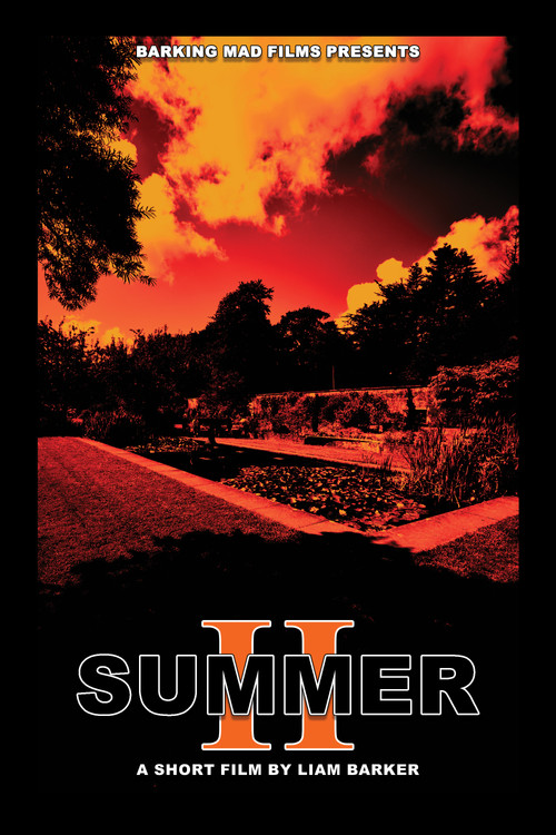 SUMMER II movie poster