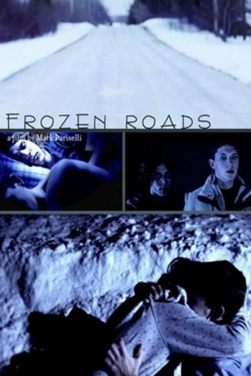Frozen Roads (2012) movie poster
